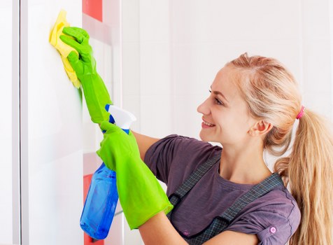 Professional sofa cleaning in a stylish Mayfair living room