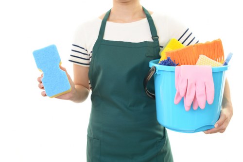 Mayfair Carpet Cleaners introducing professional carpet care and service values