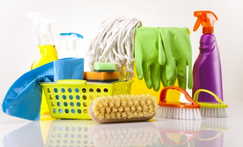 Professional pet stain odour removal in Mayfair for carpeted interiors