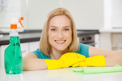 Elegant sofa upholstery cleaning in a Mayfair interior