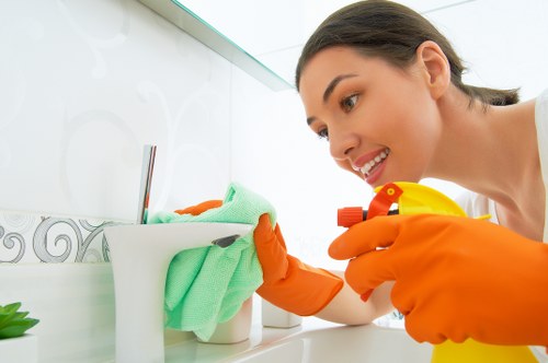 Deep cleaning treatment for pet odours in a Mayfair home