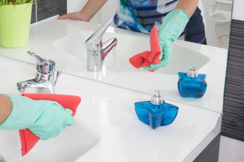 Specialist equipment used for mattress cleaning