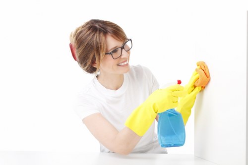 Mayfair carpet cleaners restoring a luxury carpet in an elegant interior